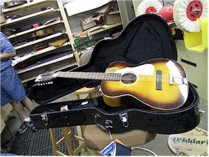 Stella Harmony 12-String